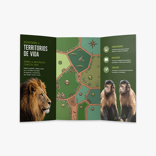 Folletos impresos para publicidad en la Sierra de Madrid